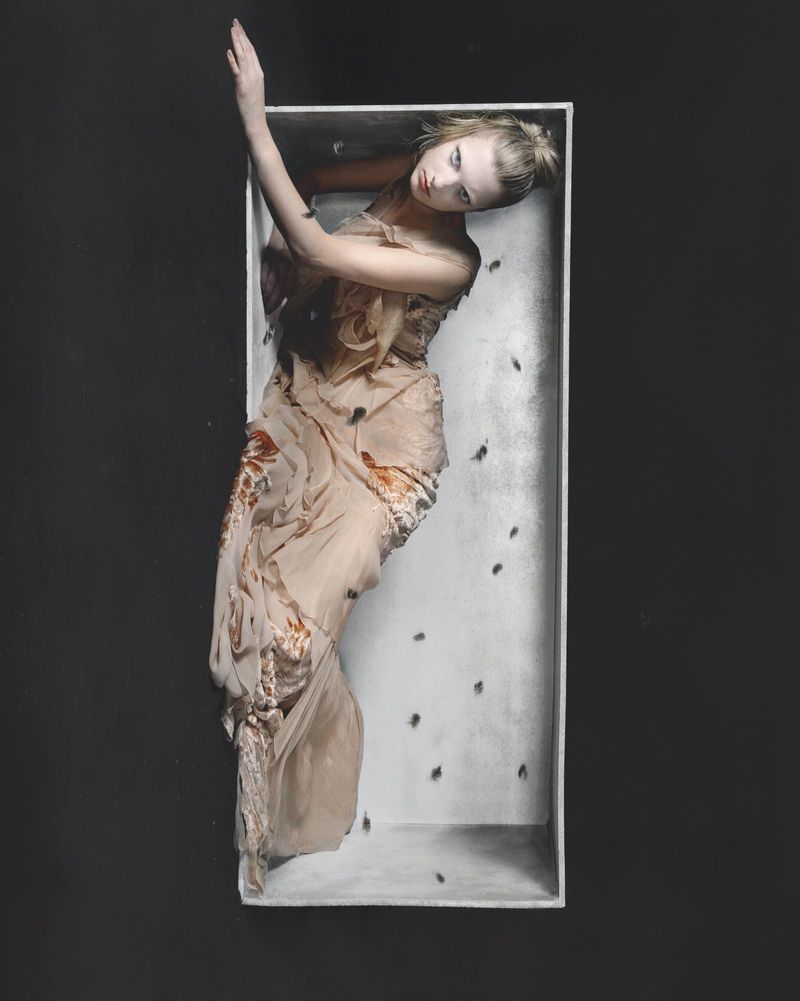 Artistic image of a woman in a light-colored dress lying inside a white box surrounded by scattered dark insects on a dark background.