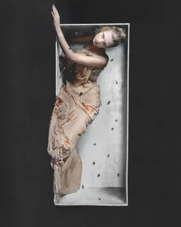 Artistic image of a woman in a light-colored dress lying inside a white box surrounded by scattered dark insects on a dark background.