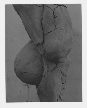 Monochrome torso sculpture detail with cracks, against a neutral background, highlighting texture and form in a studio setting.