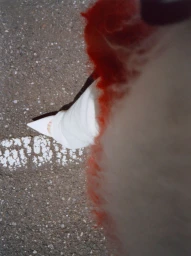 Top-down view of a person wearing a white pointed-toe heel and a textured red and beige coat on an asphalt street with white markings.
