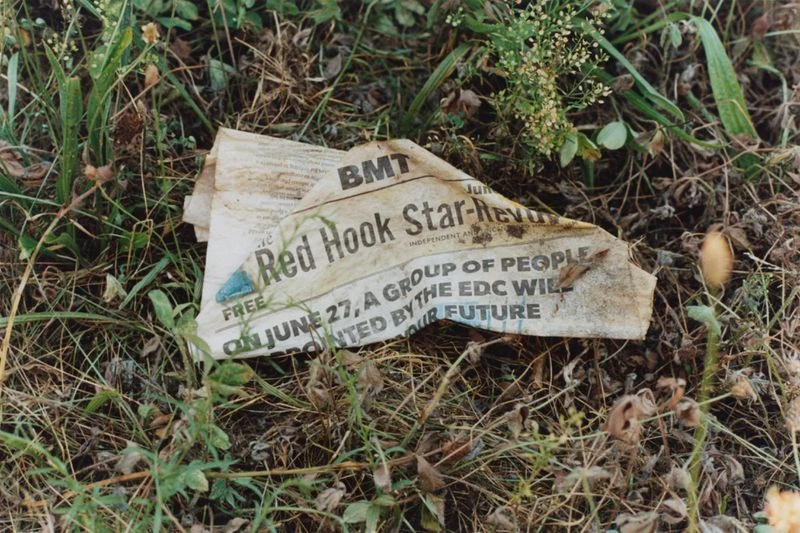 Weathered newspaper on ground with 'Red Hook Star-Revue' headline, surrounded by foliage. Focus on text about future and June 27th.