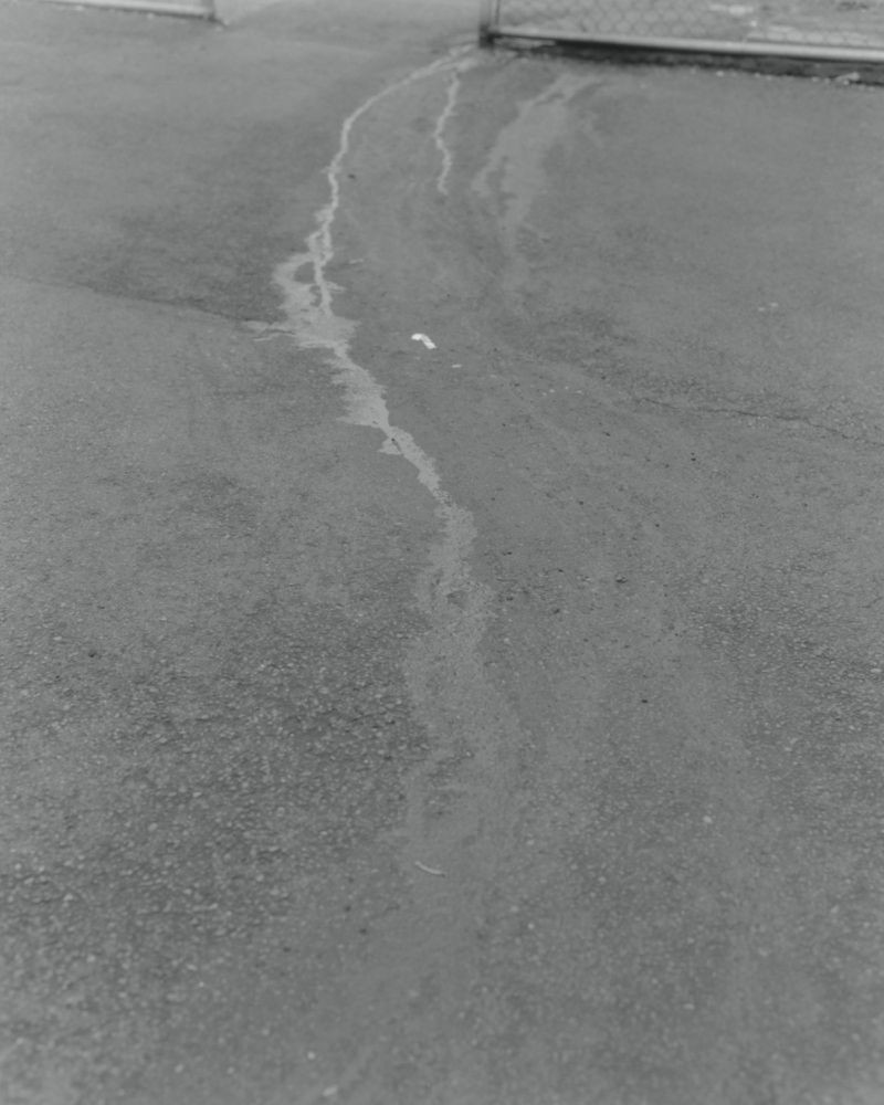 Monochromatic shot of a wet asphalt surface with abstract water patterns, creating a textured and stark visual landscape.