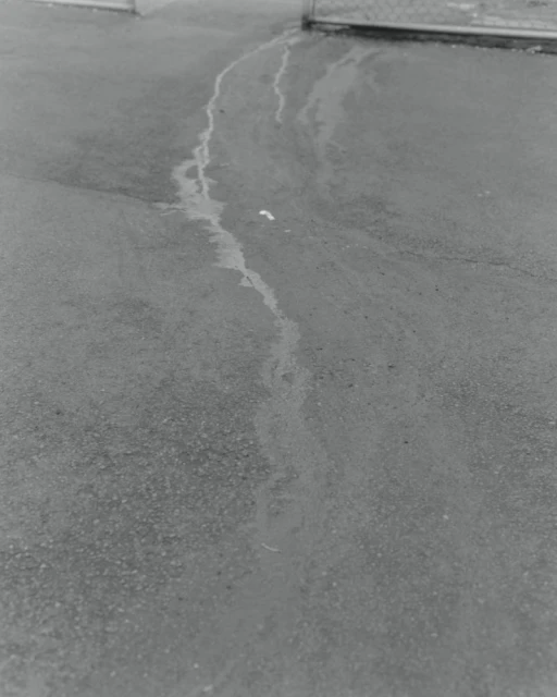 Monochromatic shot of a wet asphalt surface with abstract water patterns, creating a textured and stark visual landscape.
