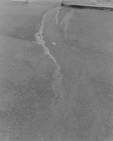 Monochromatic shot of a wet asphalt surface with abstract water patterns, creating a textured and stark visual landscape.