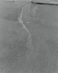 A narrow stream of water flowing across dark asphalt pavement with a metal fence visible in the upper background.