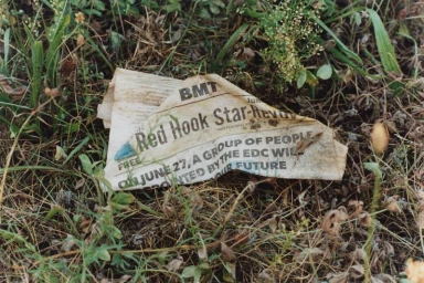 Crumpled newspaper resting among grass and dirt, displaying visible headlines.