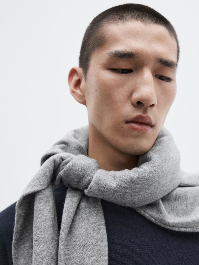 Close-up of a young Asian man wearing a gray scarf and a dark blue sweater against a plain white backdrop in soft, diffused lighting.