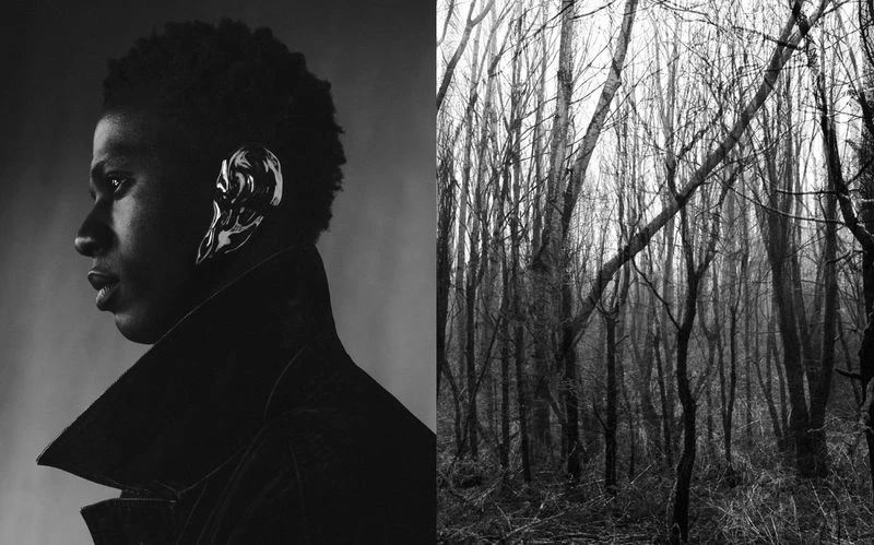 Striking portrait split between a dark-skinned person in a dark jacket and an abstracted black-and-white forest, with bare trees.