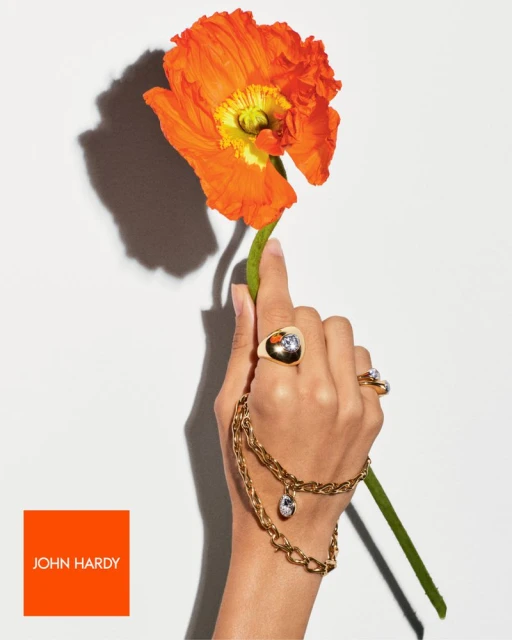 Hand holding orange poppy flower with gold jewelry against a white background. Jewelry includes rings and a chain-link bracelet.