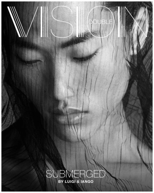 Monochromatic fashion portrait featuring an Asian female model veiled in a black net, captured in a studio setting with distinct typography.