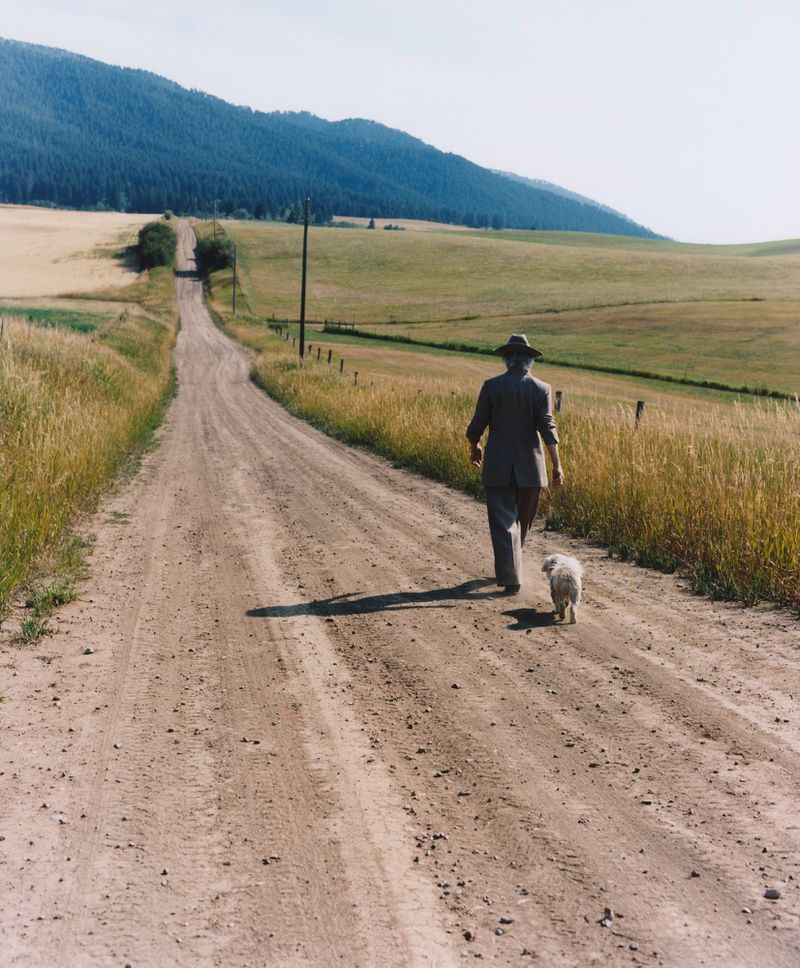 Man in suit walks with small dog on dirt road through golden fields with mountains and forest in background under bright sky.