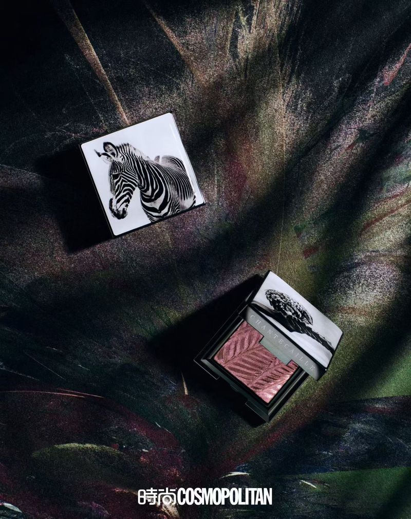 Makeup compacts featuring zebra and landscape artwork in a still life composition, set against a textured backdrop with magazine logo.
