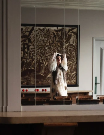 A model in an ornate gown poses inside, framed by a window and interior decor, creating a visually rich and textured scene.