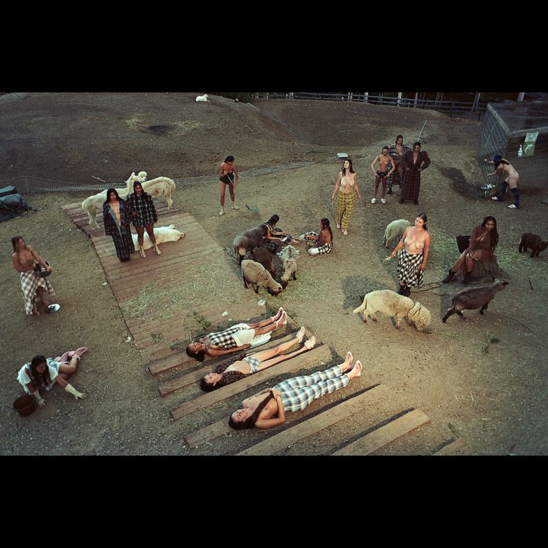 Overhead shot of group of people with sheep, women in various states of dress, some lying on wooden platforms, set on grassy hillside.