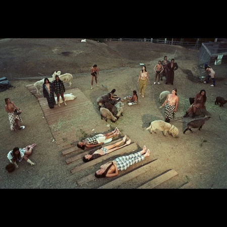 Overhead shot of group of people with sheep, women in various states of dress, some lying on wooden platforms, set on grassy hillside.