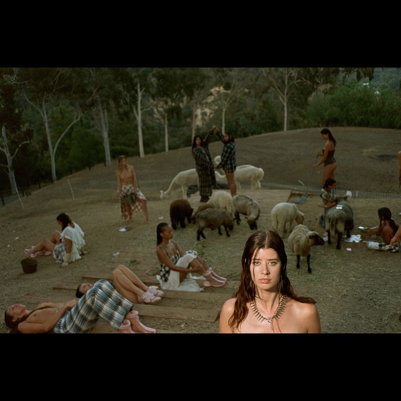 Outdoor gathering with a group of people and sheep in a field, featuring an adult woman in the foreground and lush green trees.