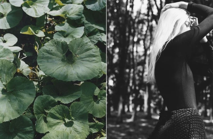Diptych featuring vibrant round green leaves beside a black and white portrait of a blonde model posing in a wooded forest.