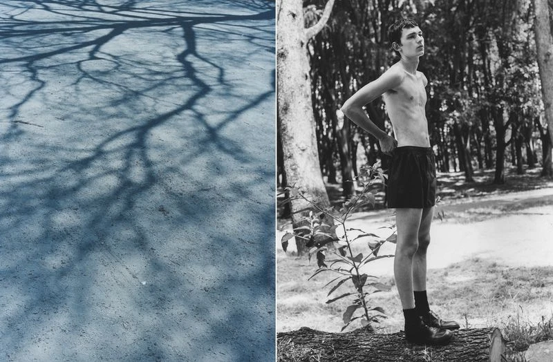 Monochrome image features a slender, shirtless man standing on a log in a forest, juxtaposed with a blue section showcasing tree shadows on the ground.