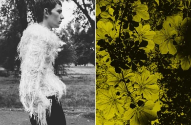 Diptych featuring a man in a white fringed textured top in profile beside a vibrant yellow panel of chestnut leaves.