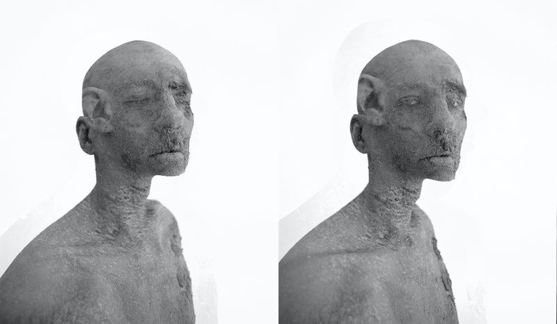 Monochrome portrait of two torsos, heads, and necks with neutral expressions against a seamless white backdrop in a vertical format.