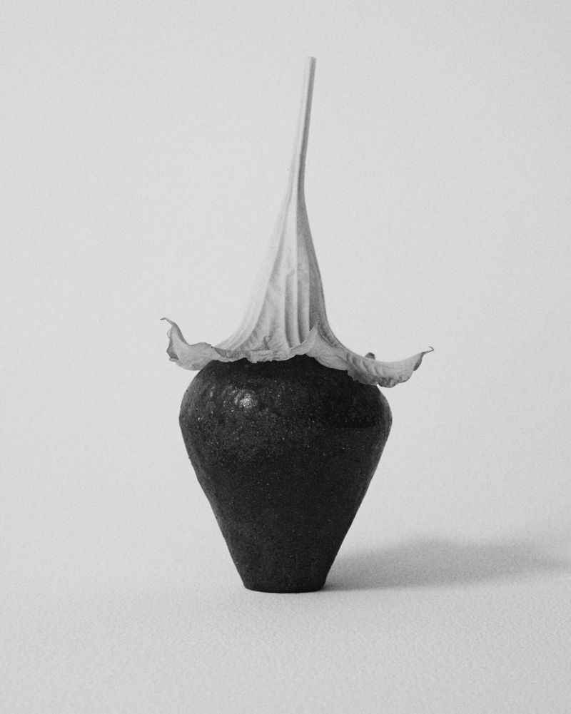 Monochrome still life of a dark vase with a white flower on top set against a white background in a studio setting. 
