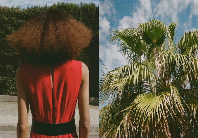 Back view of an adult woman in a red dress against a green hedge and a palm tree against a blue cloudy sky.