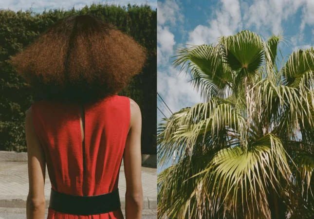Diptych of a person seen from behind in a red dress with voluminous hair next to sunlit green palm fronds against a blue sky.