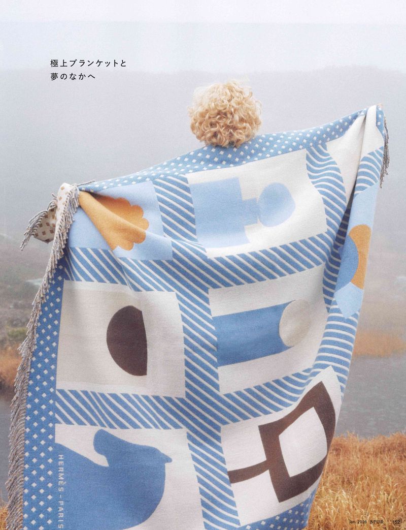 Stylized product shot of a geometrically patterned Hermes blanket draped in an outdoor setting, featuring a fuzzy decorative sphere.