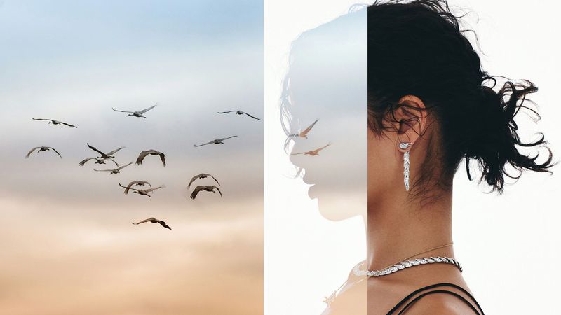 Double exposure portrait: a flock of birds in flight merges with a woman's profile, adorned with a necklace and earrings, against a bright backdrop.