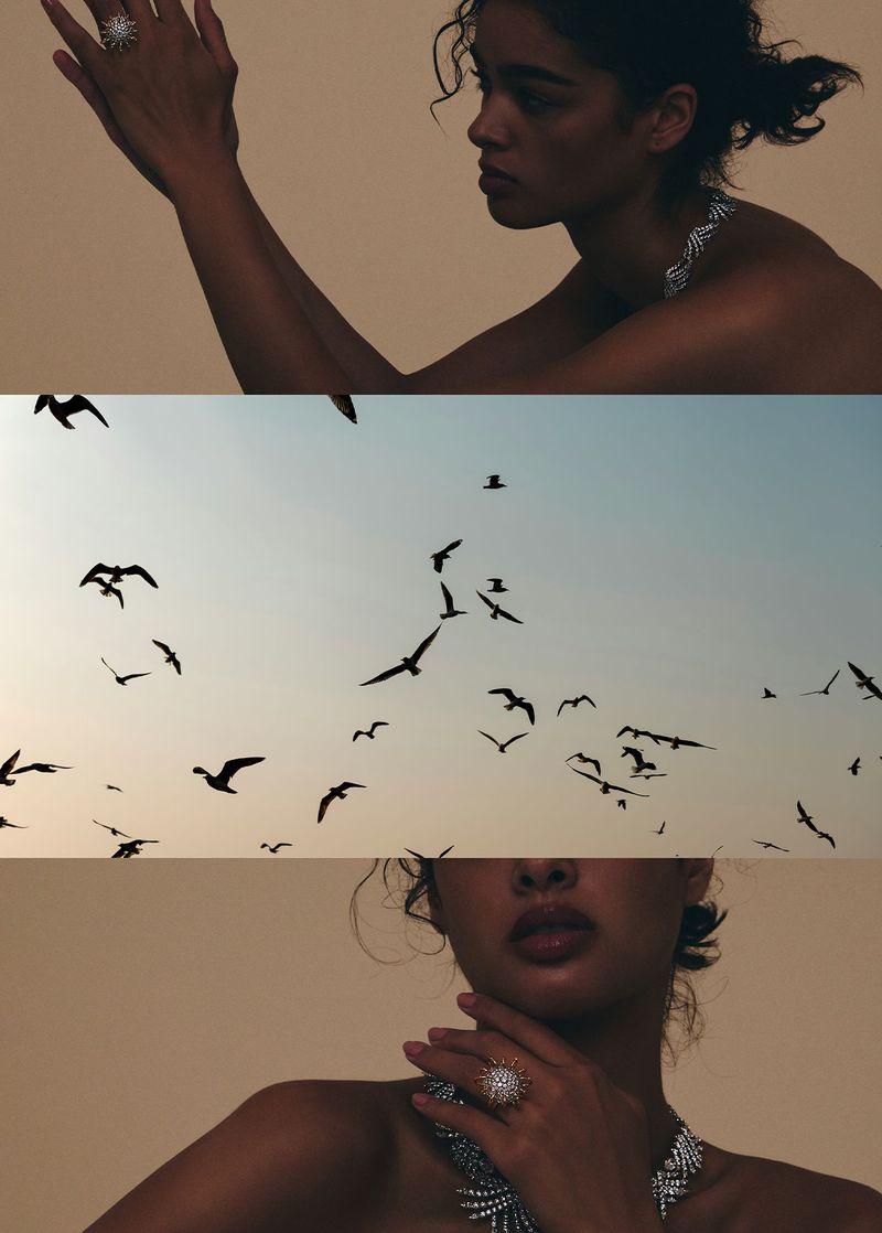 Glamour shot featuring a woman wearing a jeweled necklace and ring set against a neutral backdrop and a flock of birds.