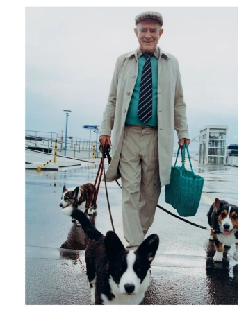Elderly man walking three corgis outdoors on a wet day, carrying a green woven bag. He is wearing a flat cap and a tan trench coat.