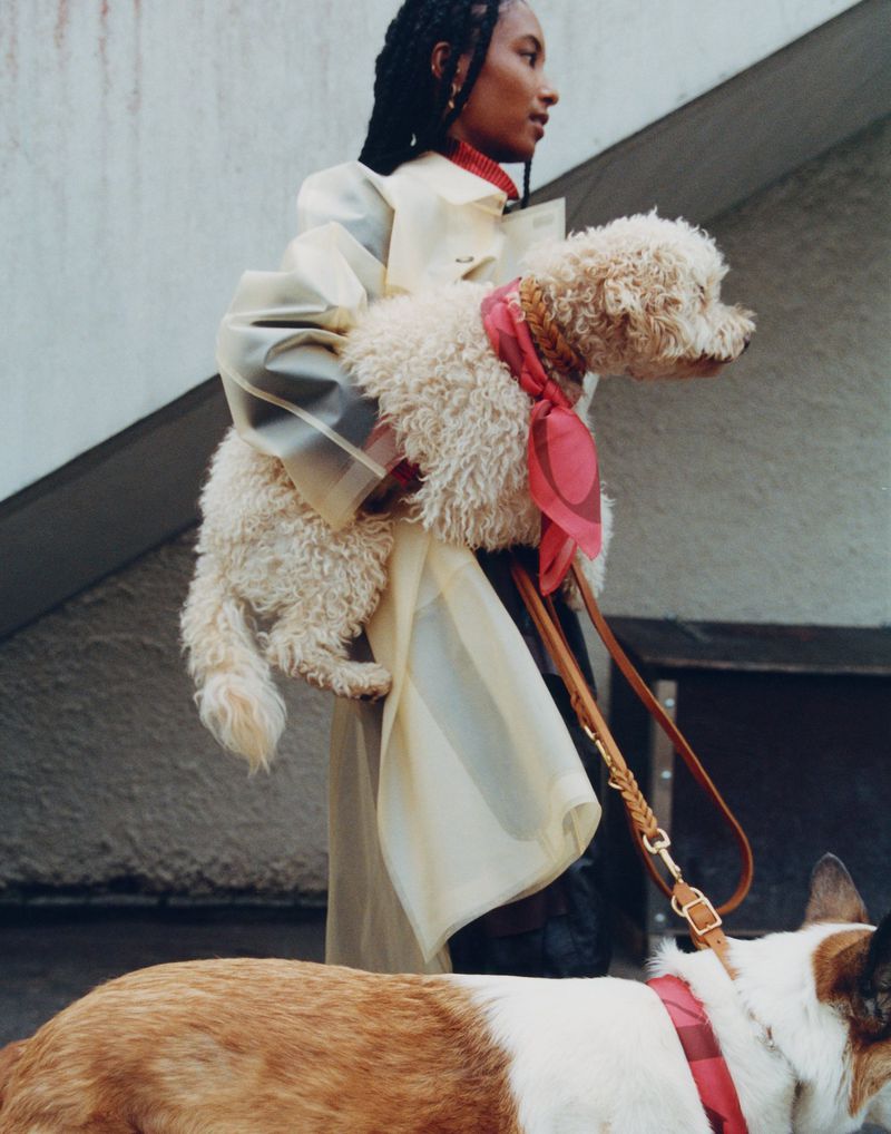 Woman in a transparent coat holds a fluffy dog with a scarf, with another dog visible below, against a concrete wall backdrop.