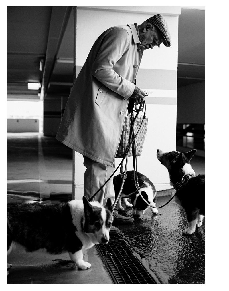 Elderly man in a cap and coat stands on a wet surface, holding leashes of three corgi dogs, in a black and white photograph.