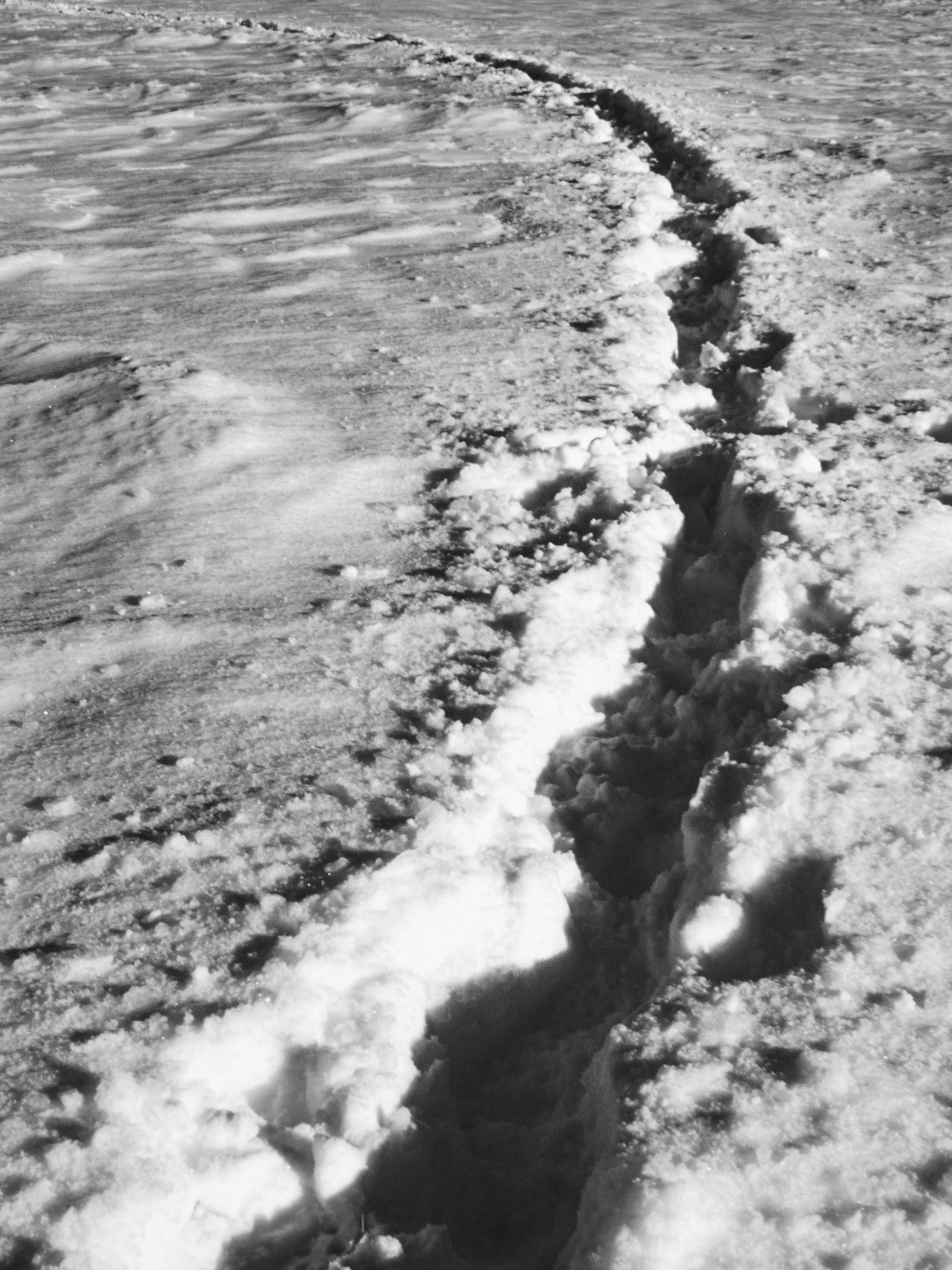 Monochrome landscape featuring a winding trail of footprints cutting through a vast expanse of snow-covered ground on a bright day.