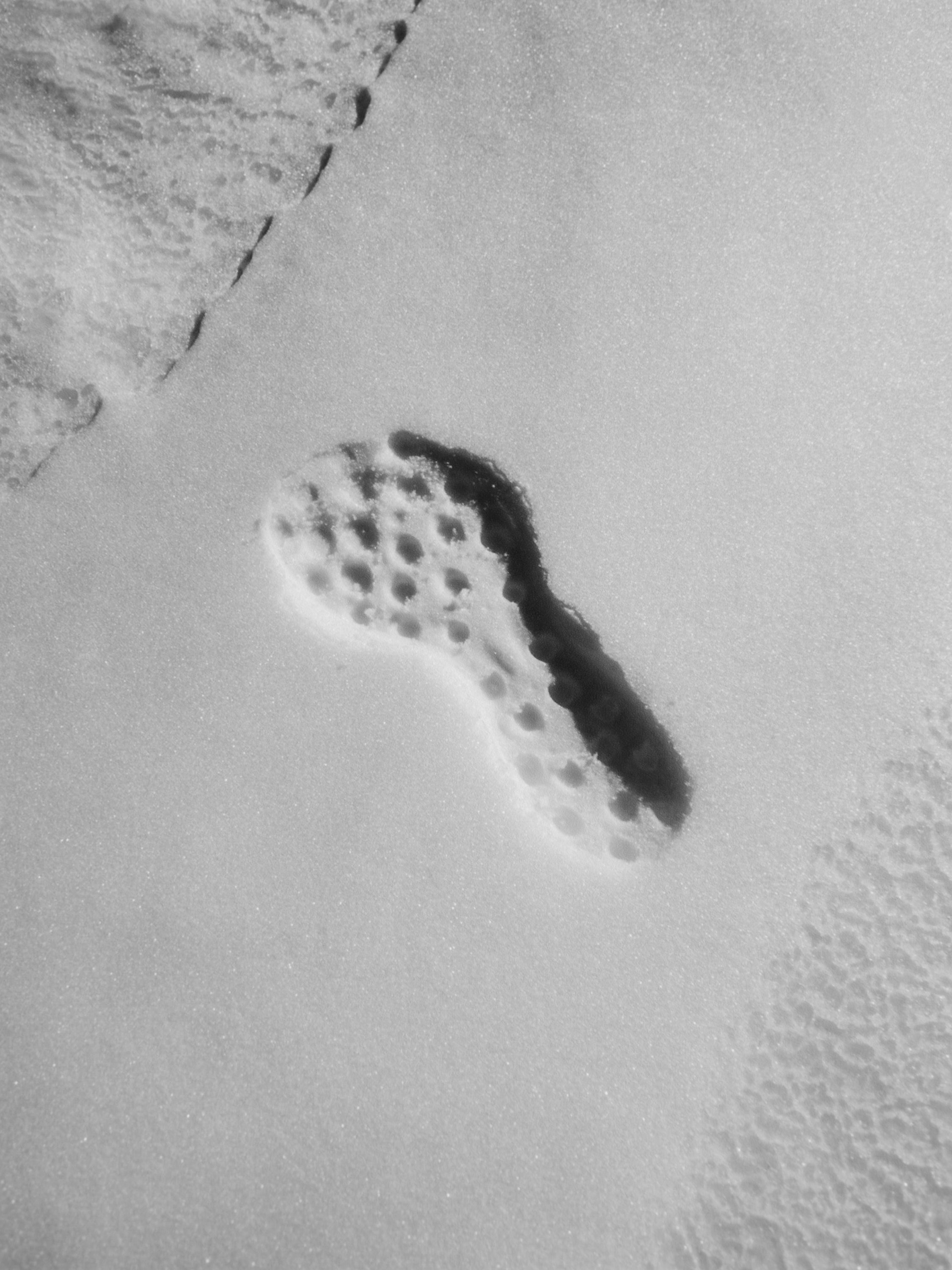 Monochromatic image of a textured, porous object on a flat surface, creating an abstract composition with stark contrast and subtle gradients.