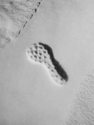 Close-up overhead view of a textured sneaker footprint pressed deep into a snowfield