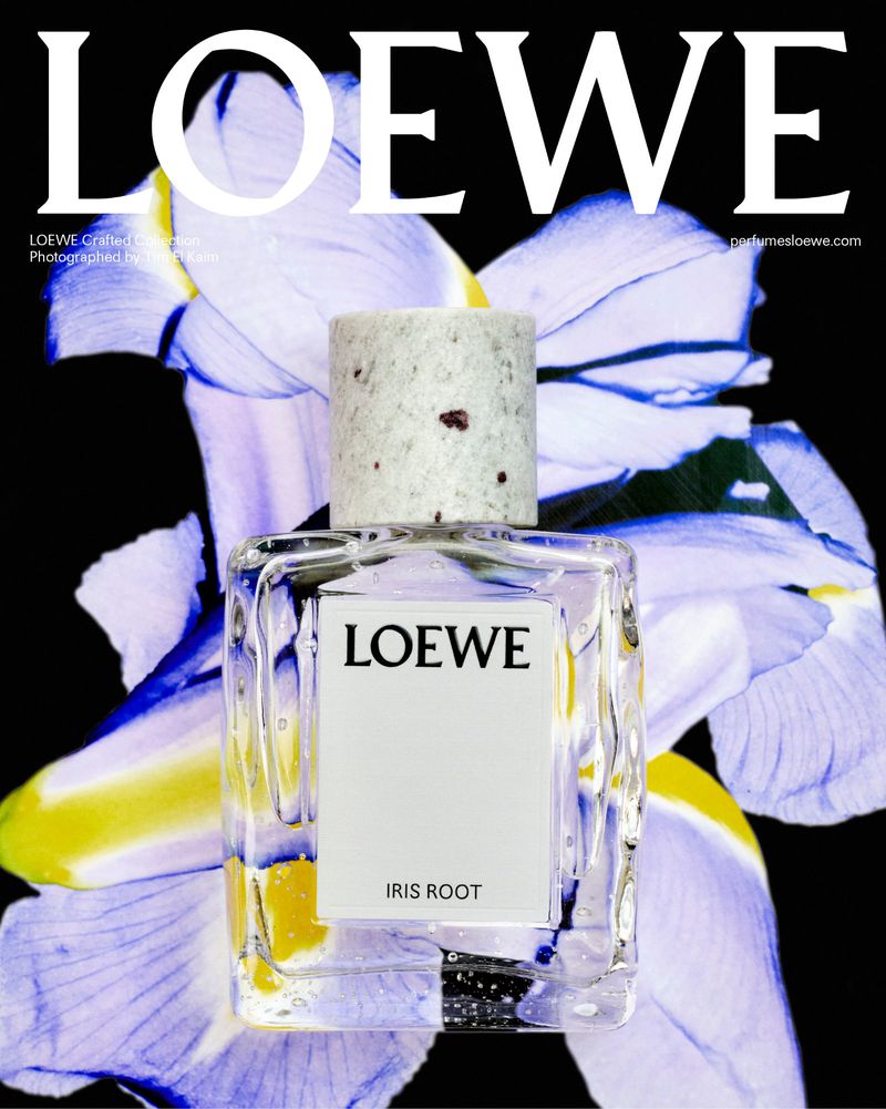 Loewe Iris Root perfume bottle with a stone cap in front of a blurry floral background with bold Loewe branding at the top.
