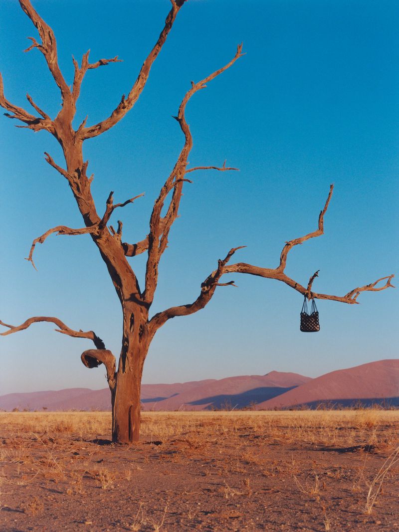 Scenic view of a brown, leafless tree with a dark handbag hanging from a branch in a dry field against a blue sky.