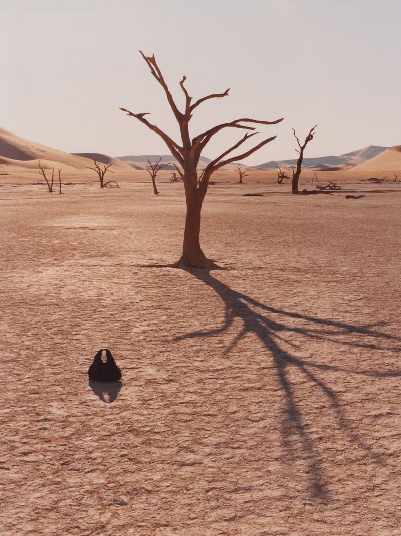 Bare tree silhouette in desert landscape, showcasing arid land, sand dunes, and clear sky under stark lighting, evoking a sense of solitude.