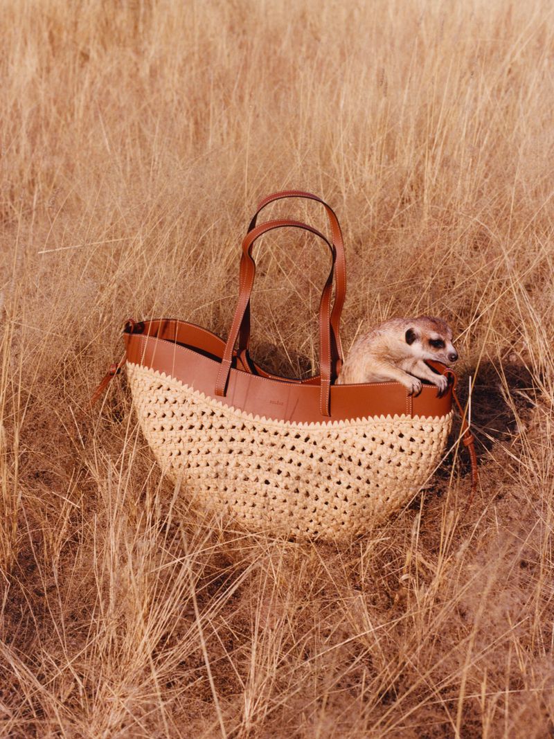 Meerkat peers out of a woven tan and brown leather tote bag set in a field of dry, golden-brown grasses in a warm, sunny, outdoor shot.