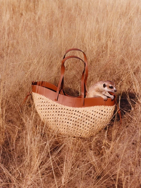 The Geometry of Quiet - Polene in Namibia