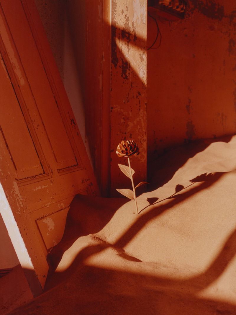 A flower grows from the sand, standing out against the orange tones of the walls and door in the abandoned indoor setting.