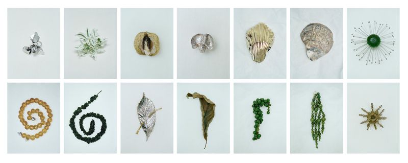 Collection of artistic natural and metallic objects arranged on a white background, featuring shells, leaves, and reflective materials in a grid.