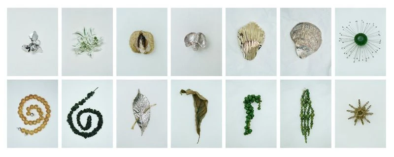 Collection of artistic natural and metallic objects arranged on a white background, featuring shells, leaves, and reflective materials in a grid.