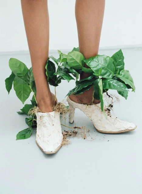 Conceptual fashion photograph featuring a woman's legs and feet wearing high-heeled shoes decorated with vibrant green plants and visible roots.