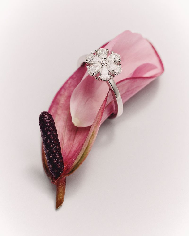 Elegant flower-shaped diamond ring on a pink Anthurium lily bloom, captured in a soft, bright studio setting for jewelry promotion.