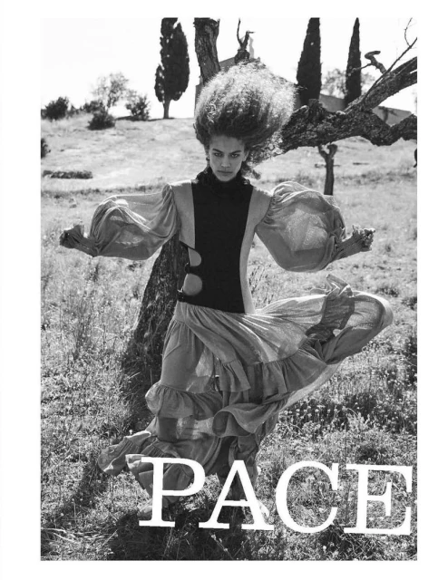 Armata Di Pace