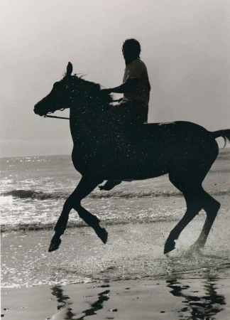 Silhouette of a horse and rider galloping through the water on a beach in a monochrome photo with splashes of water.