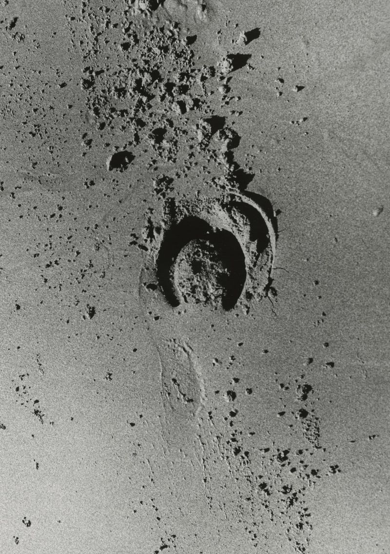 Monochrome image of a horseshoe print in the sand, surrounded by smaller debris and footprints, captured in a close-up shot.