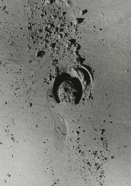 Monochrome image of a horseshoe print in the sand, surrounded by smaller debris and footprints, captured in a close-up shot.